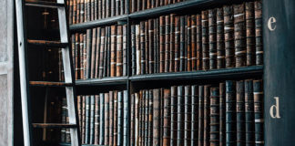 Charakterystyka zawodu radcy prawnego