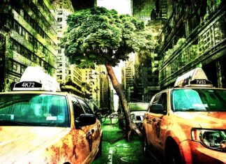 Na czym polega fałszowanie faktur?