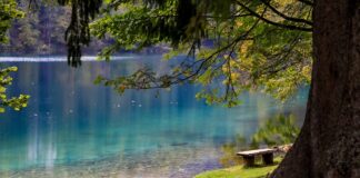 Czy faktury trzeba płacić z konta firmowego?