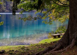 Czy faktury trzeba płacić z konta firmowego?