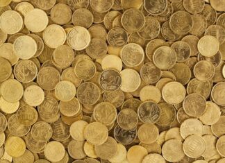 Na czym polega budżet domowy?