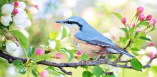 Czym grozi długie siedzenie przy komputerze?