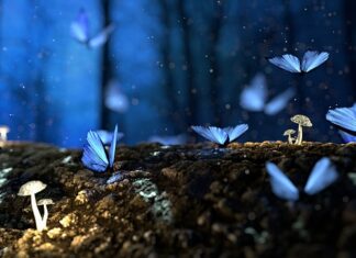 Od jakich faktur nie można odliczyć VAT?