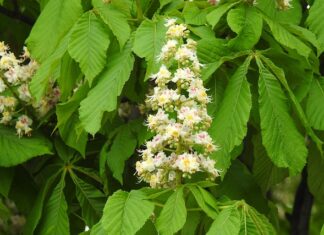 Czy matura z filozofii jest trudna? Czy matura z filozofii jest trudna?