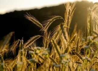 Po co my żyjemy? Po co my żyjemy?