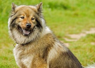 Od jakiej średniej ocen jest 5? Od jakiej średniej ocen jest 5?