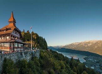 Co jest trudniejsze farmacja czy medycyna? Co jest trudniejsze farmacja czy medycyna?