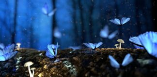 Czy wszystkie faktury trzeba rozliczyć?