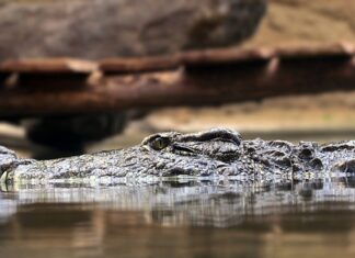 Co to są zasady moralne? Co to są zasady moralne?