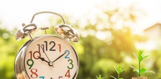 Kto zarządza finansami?