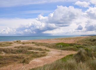 Czym jest prawda według Platona? Czym jest prawda według Platona?