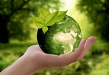 Ile jest definicji zrównoważonego rozwoju?