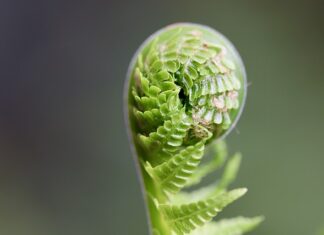 Dlaczego warto rozwijać umiejętności społeczne?