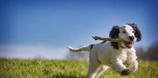 Jak odzyskać harmonie?