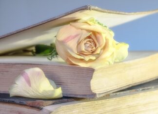 Gdzie najlepiej kupić używany iPhone?