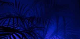 Kto prowadzi PPK w firmie?