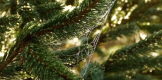 Co to są potrzeby człowieka?