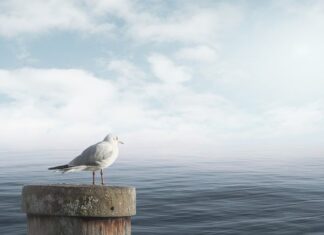 Jak uspokoić natłok myśli? Jak uspokoić natłok myśli?