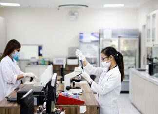 Jaka jest procedura tworzenia szkolnego zestawu programów nauczania?