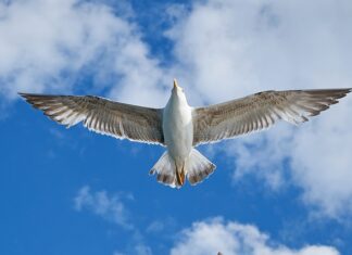 Gdzie warto emigrować 2023?