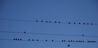 Jaki kraj do emigracji 2023?