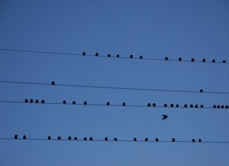 Jaki kraj do emigracji 2023?