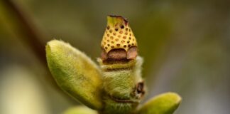 W jaki sposób rozwijasz pracowników pomagasz im zdobyć wyższe kompetencje?