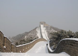 Ile jest użytkowników iOS a ile Android?