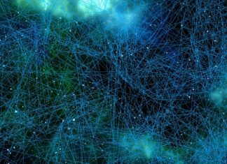 Która część mózgu odpowiada za uczucia?