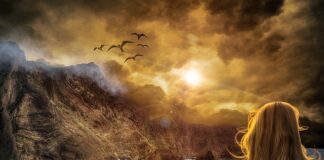 Co jest najważniejsze w pracy zawodowej?