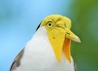 Jakie są miłe słowa? Jakie są miłe słowa?