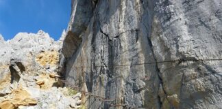 Jak zablokować automatyczne pobieranie pieniędzy z konta?