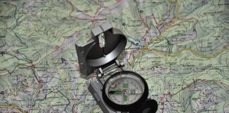 Co jest w podstawie programowej?