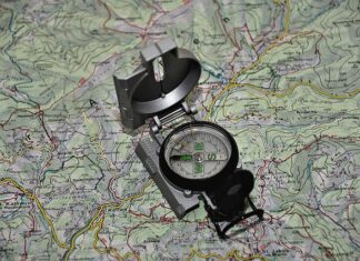 Co jest w podstawie programowej?