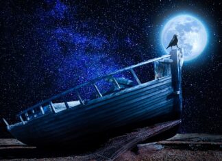 Co znajduje się w podstawie programowej?