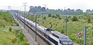 Z czego składa się plan testów?