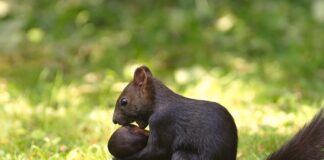 Od czego zacząć przeprowadzkę za granicę?